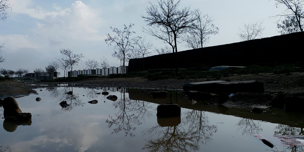 Zubaida Husaini, Cemetery, 2019, Mobile Photograph, Courtesy Of Artist 