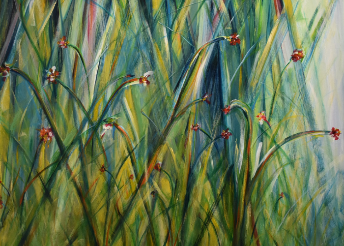 Field of Flower, A.V.H.