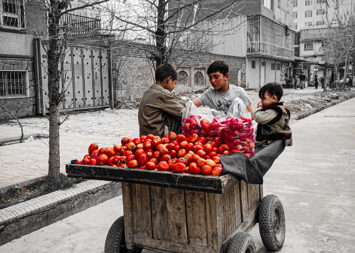 Colours Of My Land, Artist: Marwa Ezzat