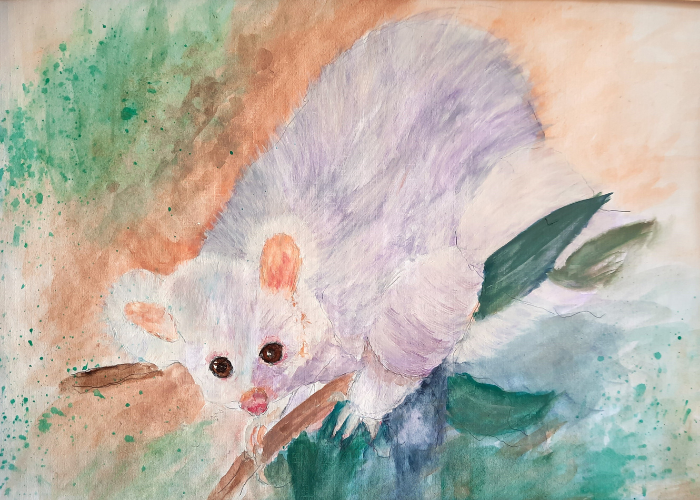 Greater Glider, Artist: Jan Thomas