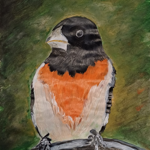 Karen Wightman, Artwork: Scarlet Robin